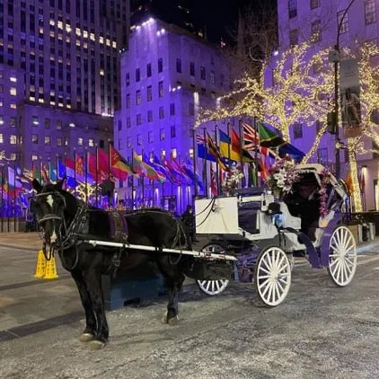 🌃 MAGICAL ROCKEFELLER LIGHT TOUR