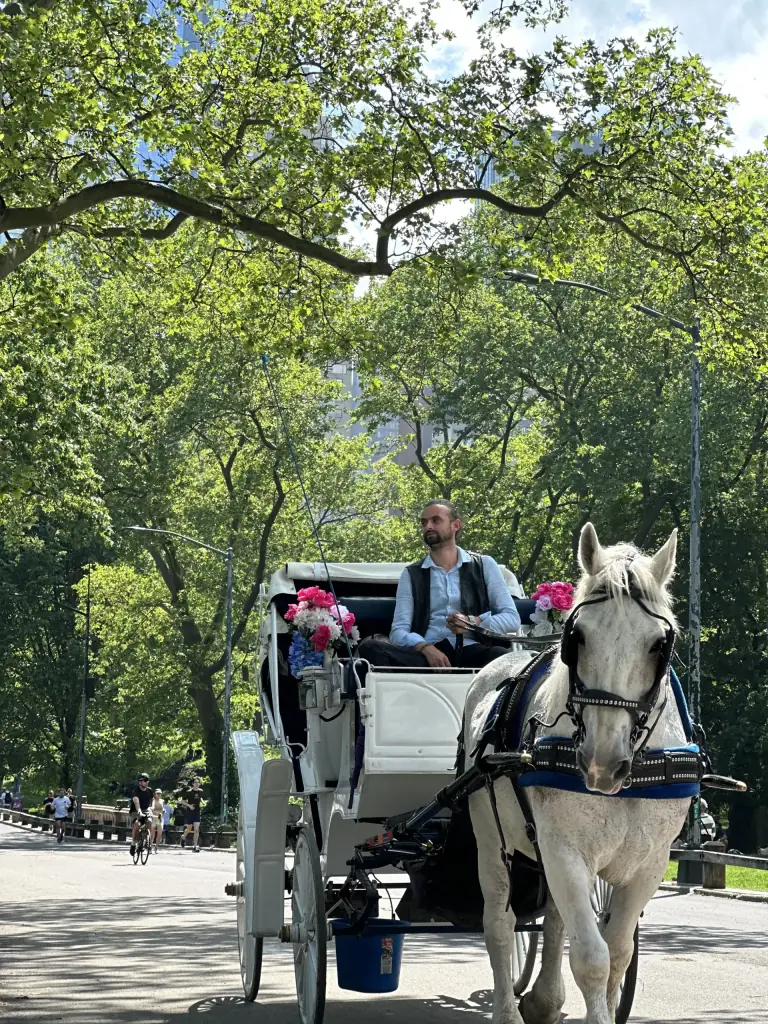 NYC Royal Carriage horse-drawn carriage in Central Park
