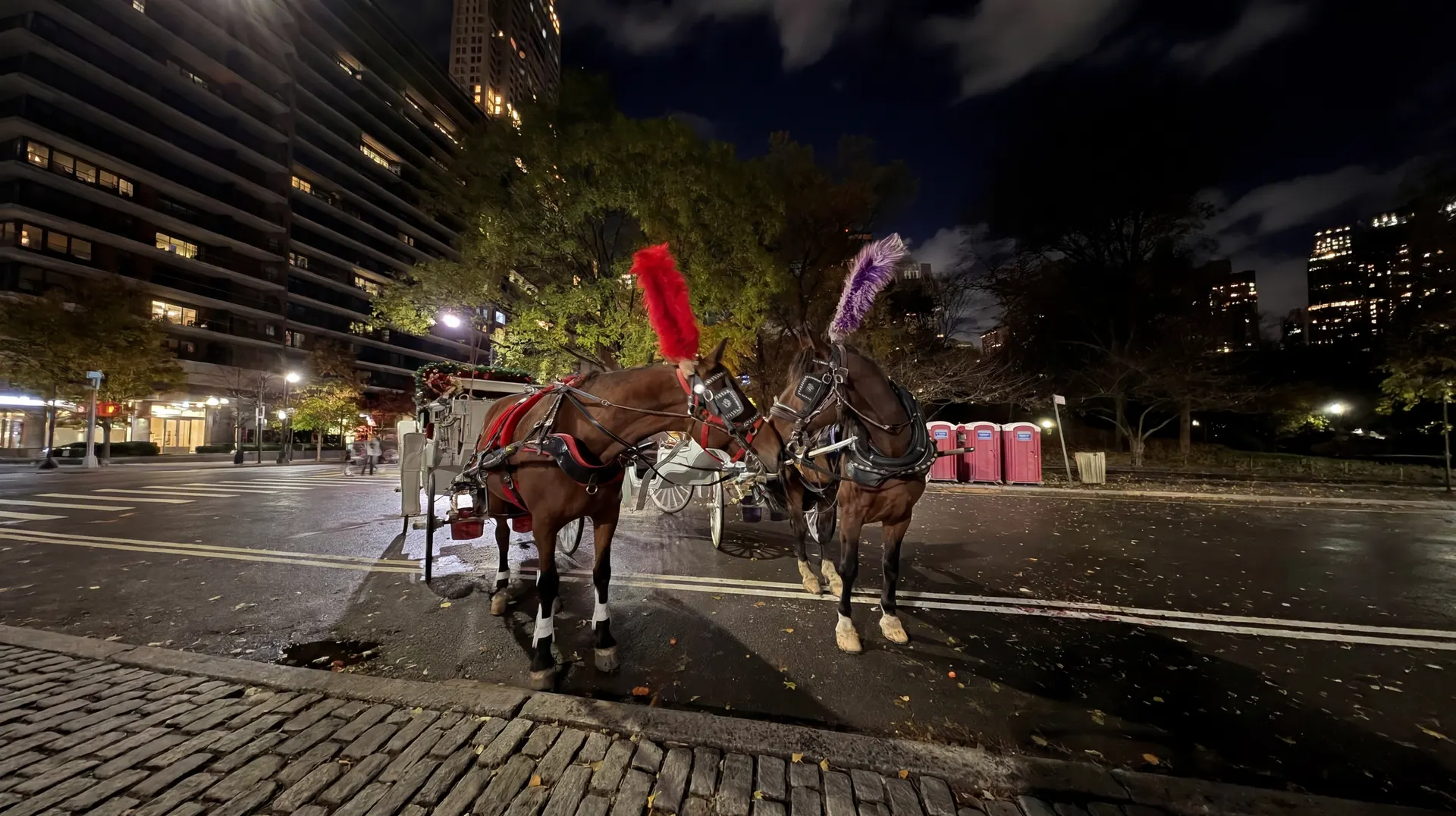 Private horse carriage ride past Rockefeller Center Christmas tree at night