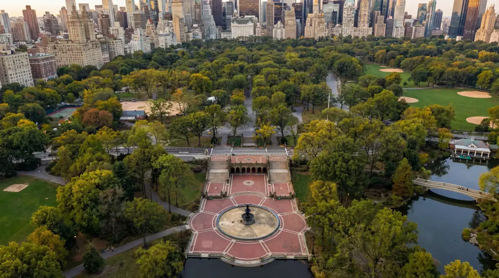 Romantic horse carriage proposal in Central Park at golden hour