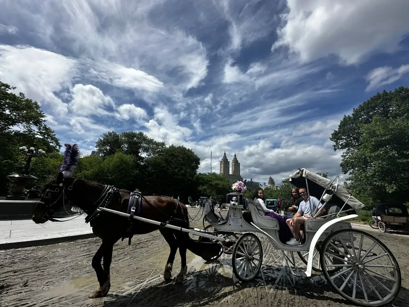 Bow Bridge — proposal location in Central Park
